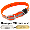 BIG DAWG Visibility -- HUNTER ORANGE 1 in. Reflective Biothane Standard Collar