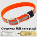 BIG DAWG Visibility -- HUNTER ORANGE 1 in. Reflective Biothane Standard Collar