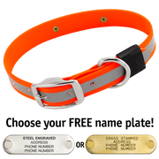  shop BIG DAWG Visibility -- HUNTER ORANGE 1 in. Reflective Biothane Standard Collar