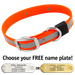 BIG DAWG Visibility -- HUNTER ORANGE 1 in. Reflective Biothane Standard Collar