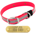 BIG DAWG Visibility -- HOT PINK 1 in. Reflective Biothane Standard Collar