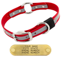 BIG DAWG Visibility -- CHERRY RED 1 in. Reflective Biothane O-Ring Collar
