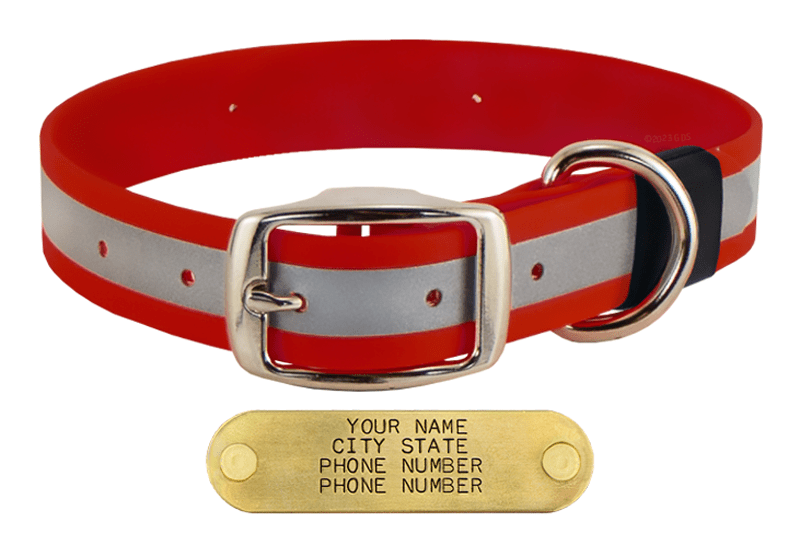 BIG DAWG Visibility CHERRY RED 1 in. Reflective Biothane Standard Collar. 16.99.