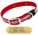 BIG DAWG Visibility -- CHERRY RED 1 in. Reflective Biothane Standard Collar