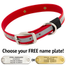 BIG DAWG Visibility -- CHERRY RED 1 in. Reflective Biothane Standard Collar