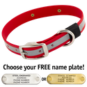 BIG DAWG Visibility -- CHERRY RED 1 in. Reflective Biothane Standard Collar
