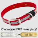 BIG DAWG Visibility -- CHERRY RED 1 in. Reflective Biothane Standard Collar