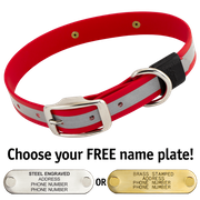  shop BIG DAWG Visibility -- CHERRY RED 1 in. Reflective Biothane Standard Collar