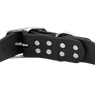 Bigger Dawg Standard Collar Buckle Back Detail