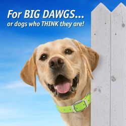 www.gundogsupply.com