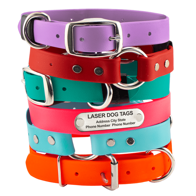 personalized dog leashes