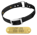 BLACK 1 in. SunGlo O-Ring Collar