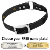  shop BLACK 1 in. SunGlo O-Ring Collar