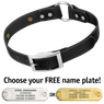 BLACK 1 in. SunGlo O-Ring Collar