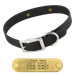 BLACK 1 in. SunGlo Standard Collar