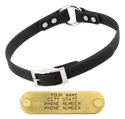 BLACK 3/4 in. O-Ring SunGlo Collar