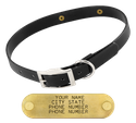 BLACK 3/4 in. SunGlo Standard Collar