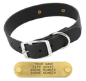 BLACK BIGGER DAWG 1 1/2 in. Biothane Standard Collar