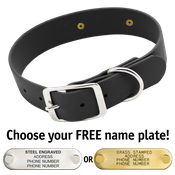  shop BLACK BIGGER DAWG 1 1/2 in. Biothane Standard Collar