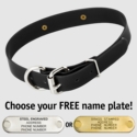 BLACK 1 in. SunGlo D-End Collar