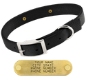 BLACK 1 in. Double-Ply Standard Nylon Dog Collar