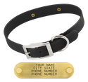 BLACK 1 in. SunGlo Standard Collar