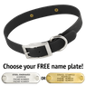 BLACK 1 in. SunGlo Standard Collar