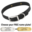 BLACK 1 in. SunGlo Standard Collar