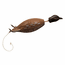 Dokken Bobwhite Quail Deadfowl Trainer