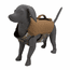 Bloodline Hunting Dog Vest Optifade Timber on Dog