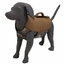 Bloodline Hunting Dog Vest Optifade Timber on Dog