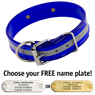 BLUE 1-1/2 in. Beaded Reflective D-End Dog Collar