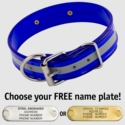 BLUE 1-1/2 in. Beaded Reflective D-End Dog Collar
