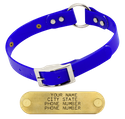 BLUE 1 in. SunGlo O-Ring Collar