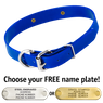 BLUE 1 in. SunGlo D-End Collar