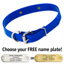 BLUE 1 in. SunGlo D-End Collar