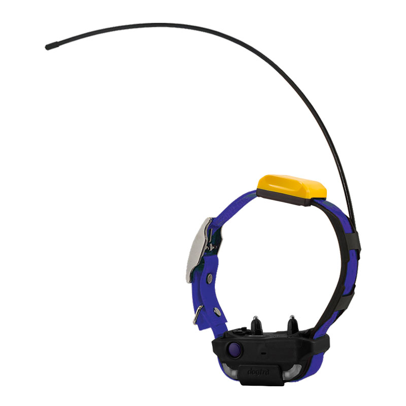 Blue Dogtra Pathfinder 2 Collar