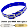 BLUE 1 in. SunGlo Reflective Standard Collar