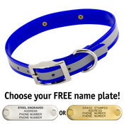  shop BLUE 1 in. SunGlo Reflective Standard Collar