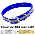 BLUE 1 in. SunGlo Reflective Standard Collar