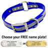 BLUE 1 in. SunGlo Reflective O-Ring Collar