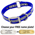 BLUE 1 in. SunGlo Reflective O-Ring Collar