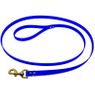 Blue Leash