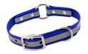 ROYAL BLUE little dawg VISIBILITY 3/4 in. Biothane Puppy & Small Dog O-Ring Collar -- 13 in. Neck