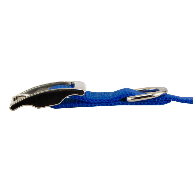 Blue Nylon Dog Collar Buckle Edge Detail