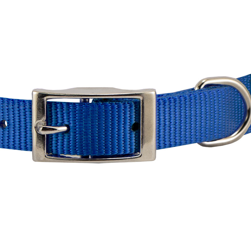 Blue Nylon Dog Collar Front of Buckle Detail