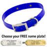 BLUE 1 in. SunGlo Standard Collar