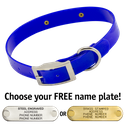BLUE 1 in. SunGlo Standard Collar