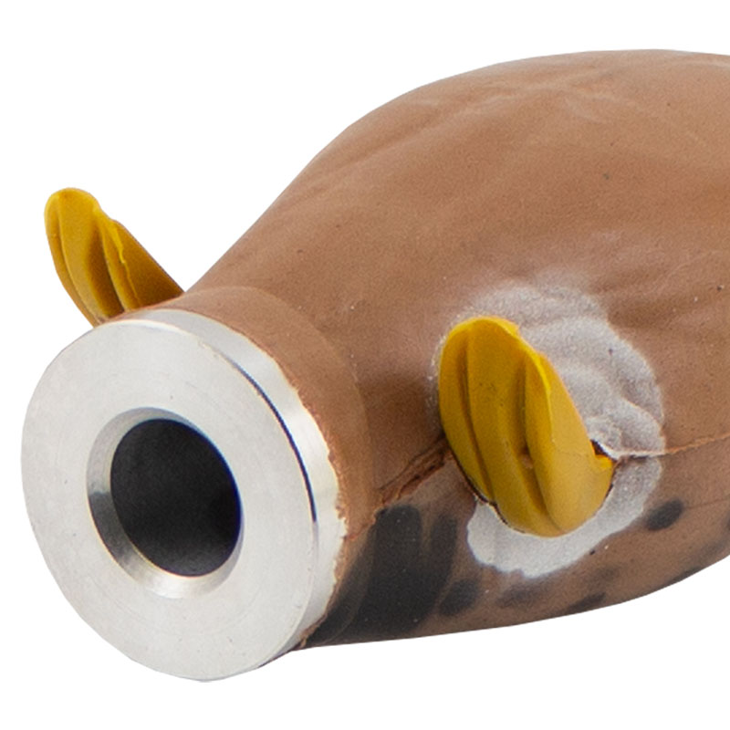 Bluewing Teal Dummy Feet Detail