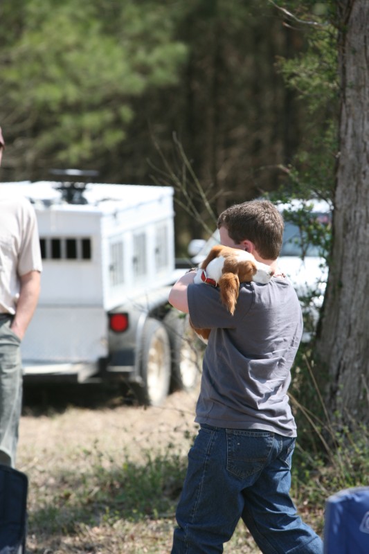 Brandy Gun Dog Supply